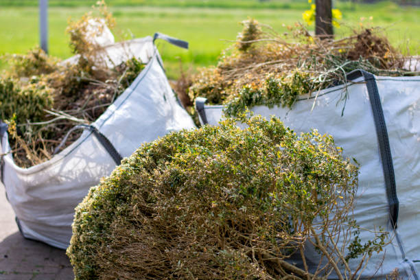 Best Trash Removal Near Me  in Runnemede, NJ